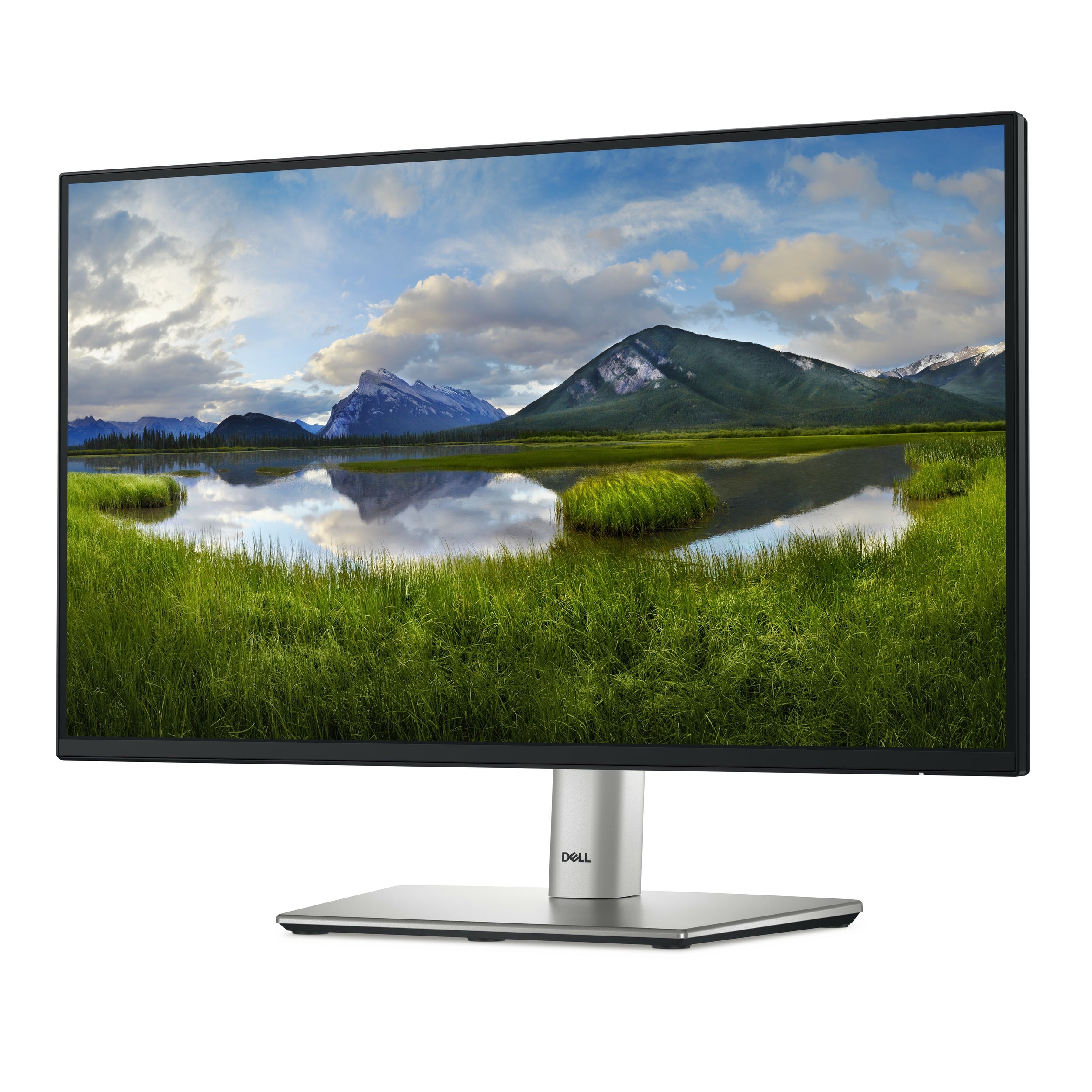 Monitor Led Dell P2225H | 21.5 Pulgadas Full Hd | 1920 X 1080 | 100Hz | Hdmi, Vga, Dp | 210-Blxj