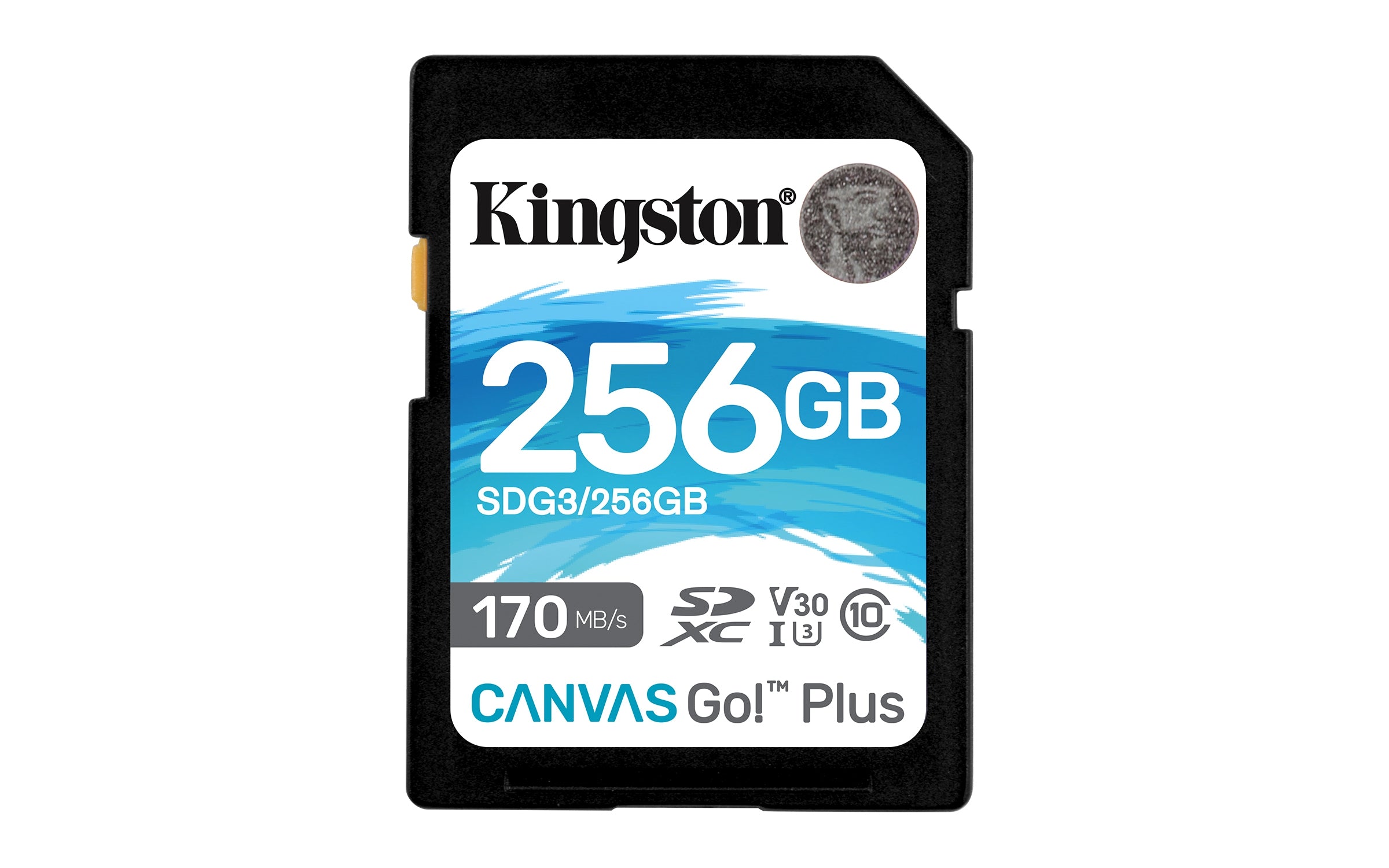 Memoria Kingston Sdxc Canvas Go! Plus 170Rc10 Uhs-I U3 V30(Sdg3/256Gb)