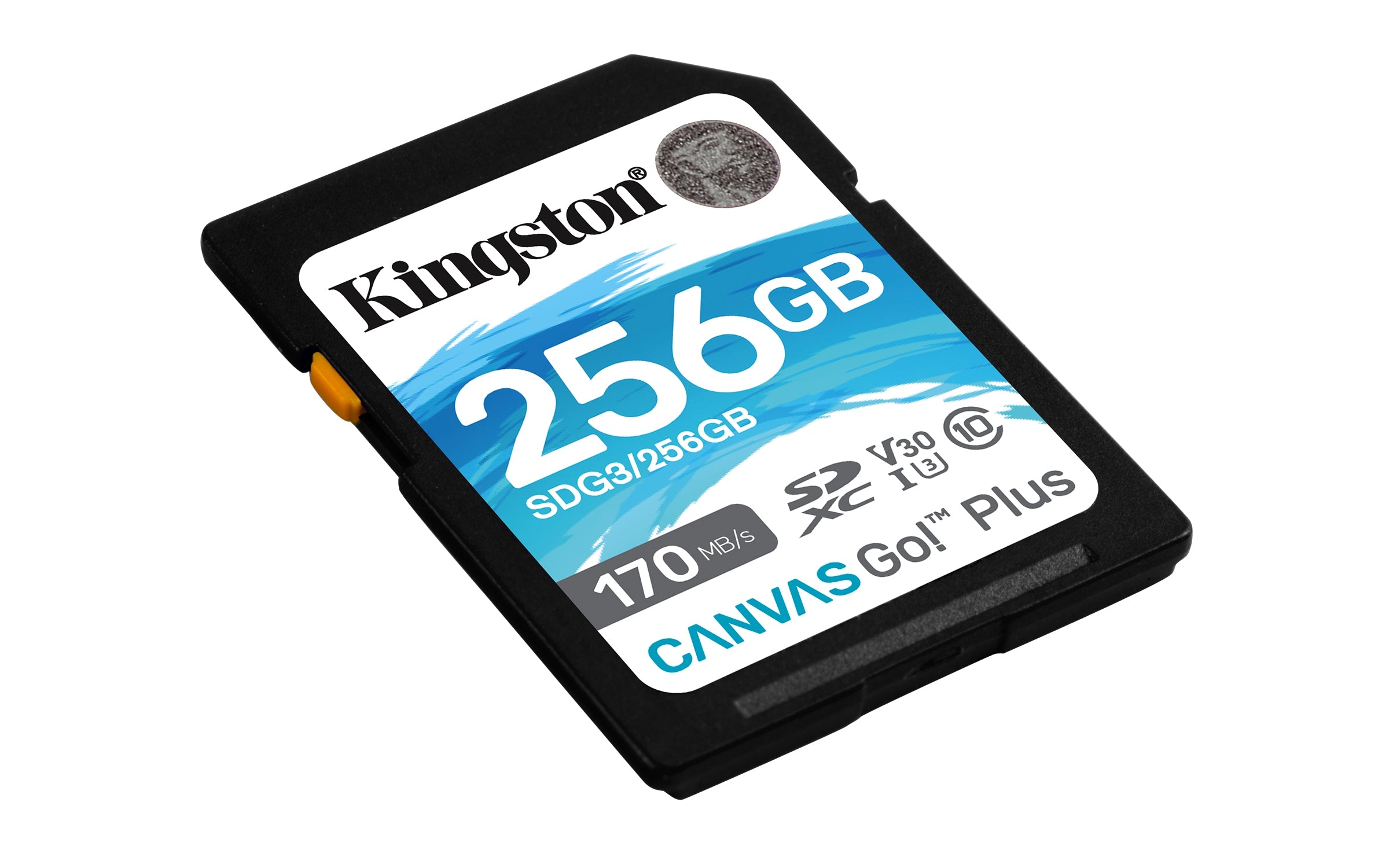 Memoria Kingston Sdxc Canvas Go! Plus 170Rc10 Uhs-I U3 V30(Sdg3/256Gb)